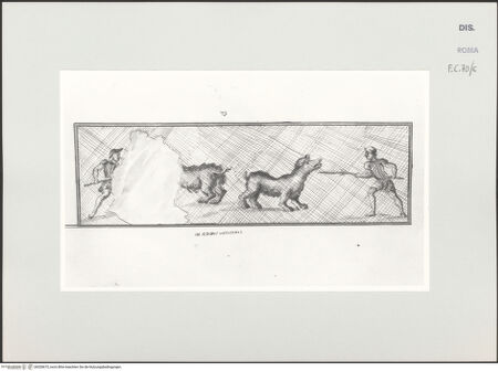 Vorderseite von bh528675_recto