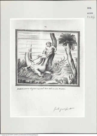 Vorderseite von bh528676-1_bh528676-2_recto