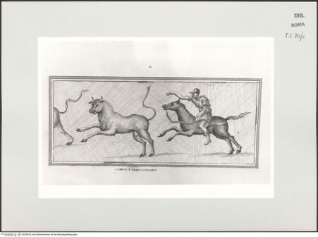 Vorderseite von bh528678_recto