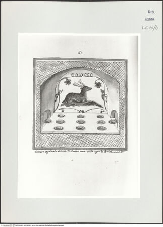 Vorderseite von bh528699-1_bh528699-2_recto