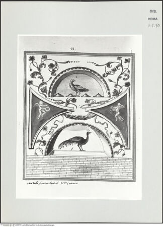 Vorderseite von bh528721_recto