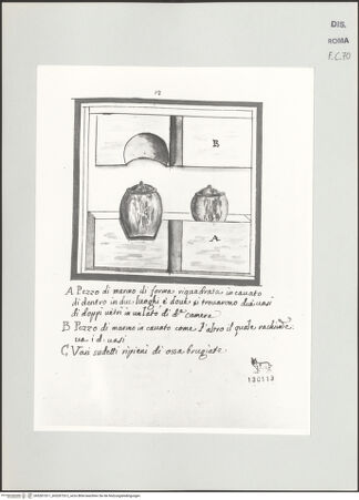 Vorderseite von bh528733-1_bh528733-2_recto