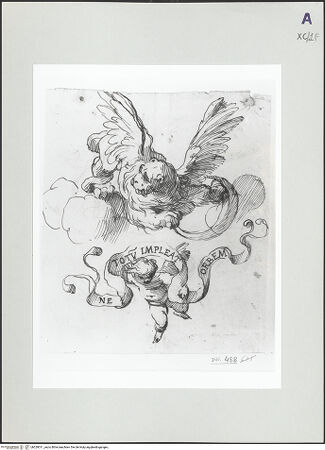 Vorderseite von bh529011_recto