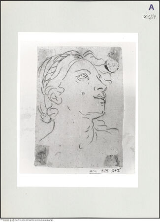 Vorderseite von bh529013_recto