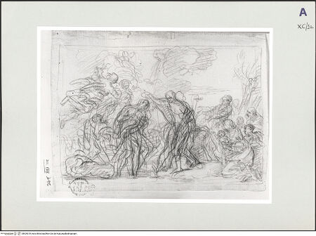 Vorderseite von bh529019_recto