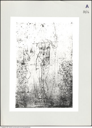 Vorderseite von bh529030_recto