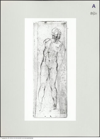 Vorderseite von bh529034_recto