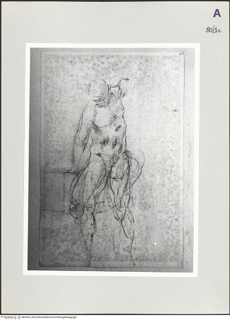 Vorderseite von bh529035_recto