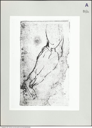 Vorderseite von bh529036_recto