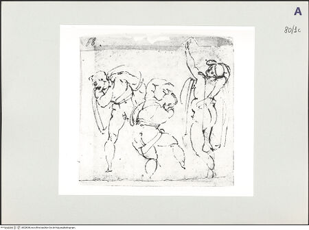 Vorderseite von bh529038_recto