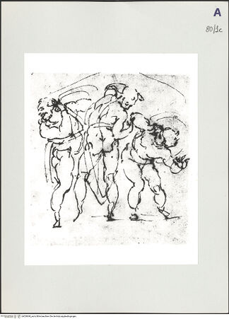 Vorderseite von bh529040_recto