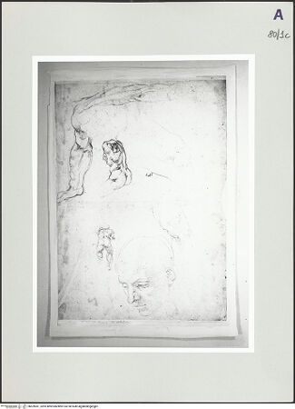 Vorderseite von bh529041_recto