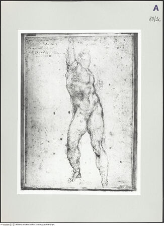 Vorderseite von bh529043_recto