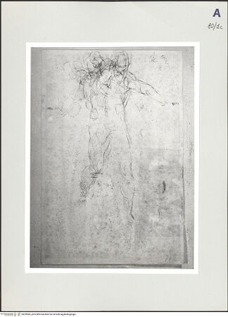 Vorderseite von bh529045_recto