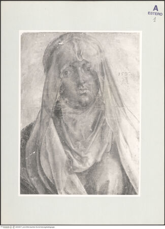 Vorderseite von bh529077_recto