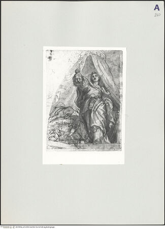 Vorderseite von bh529084_recto