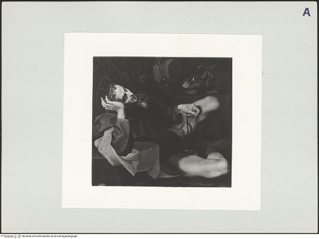 Vorderseite von bh529090_recto