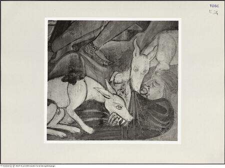 Vorderseite von bh529118_recto