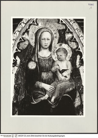 Vorderseite von bh529123_recto