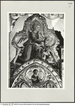 Vorderseite von bh529126_recto