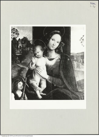 Vorderseite von bh529142_recto