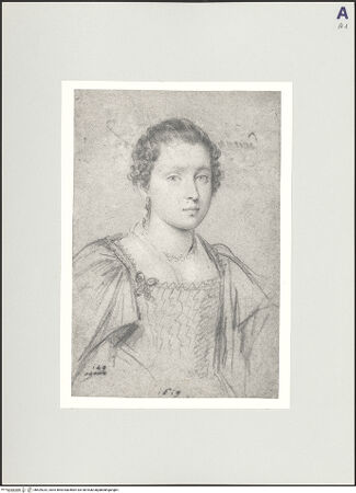 Vorderseite von bh529332_recto