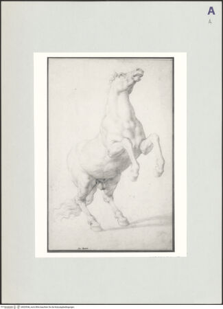 Vorderseite von bh529346_recto