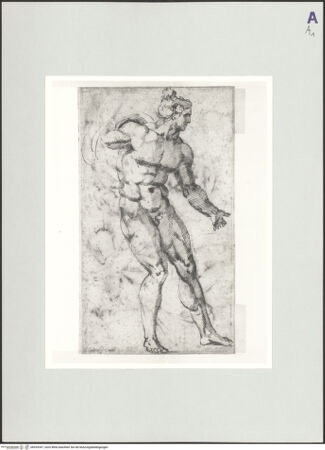 Vorderseite von Sotheby's [https://www.deutsche-digitale-bibliothek.de/content/lizenzen/rv-ez/] Stehender, männlicher Akt - , bh529347_recto. Foto.