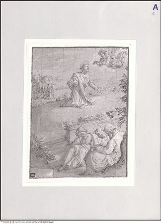 Vorderseite von bh529357_recto