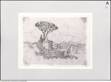 Vorderseite von bh529397_recto