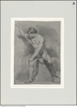 Vorderseite von bh529404_recto