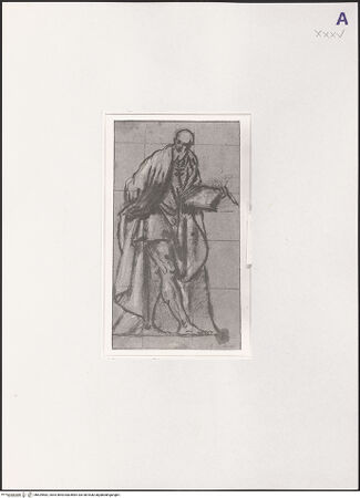 Vorderseite von bh529582_recto