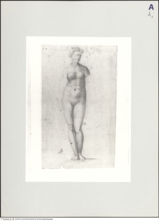Vorderseite von Sotheby's [https://www.deutsche-digitale-bibliothek.de/content/lizenzen/rv-ez/] Stehender Frauenakt. Vermutlich Venus - , bh529818_recto. Foto.