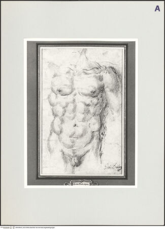 Vorderseite von bh529829_recto