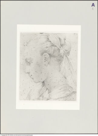 Vorderseite von bh529836_recto