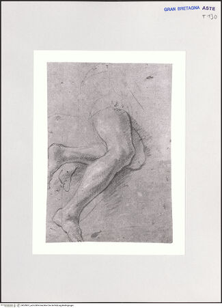 Vorderseite von bh529837_recto