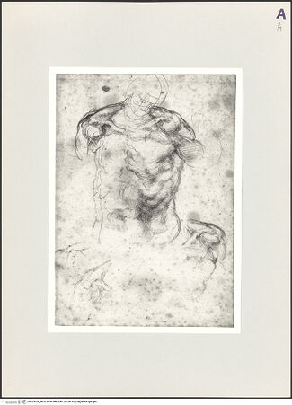 Vorderseite von bh529868_recto