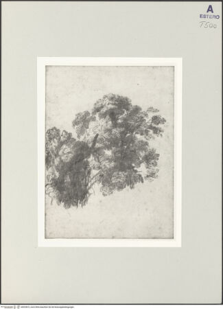 Vorderseite von bh529872_recto