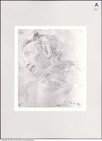 Vorderseite von bh529919_recto