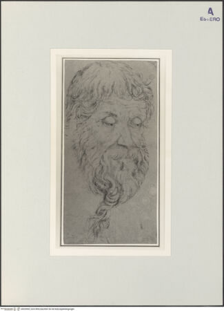 Vorderseite von bh529969_recto