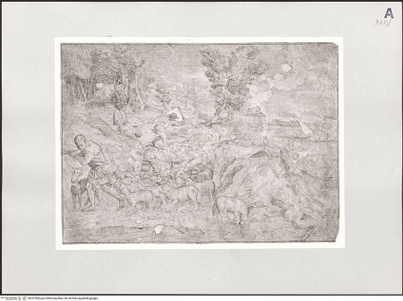 Vorderseite von bh531008_recto