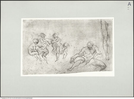 Vorderseite von bh531019_recto