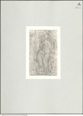 Vorderseite von bh531023_recto