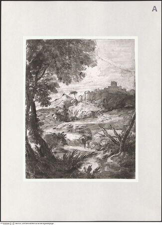 Vorderseite von bh531031_recto