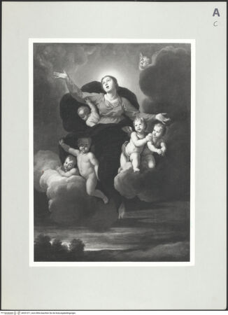 Vorderseite von bh531071_recto