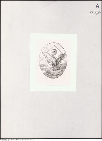 Vorderseite von bh531112_recto