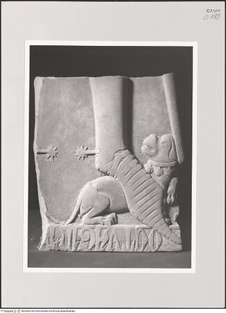 Vorderseite von Pedicini, Luciano [https://www.deutsche-digitale-bibliothek.de/content/lizenzen/rv-ez/] Grabplatte eines Ritters (gest. 1383) - Fußende, rechts: Hund, bh532008_recto. Foto: Pedicini, Luciano.