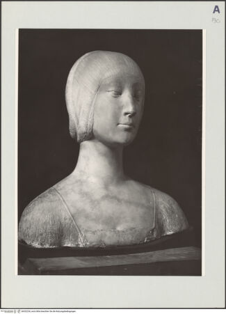 Vorderseite von bh532236_recto