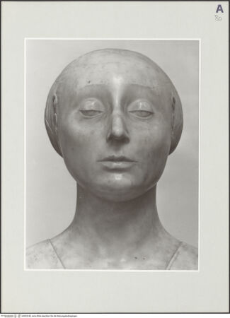 Vorderseite von bh532242_recto