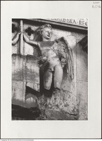 Vorderseite von Bibliotheca Hertziana [https://www.deutsche-digitale-bibliothek.de/content/lizenzen/rv-fz/] Triumphbogen Alfonsos VPlastische Dekoration mit dem Relief der Krönung von Ferdinand I.Wappenhaltende Genien - Rechter Genius, bh532258_recto. Foto.